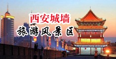 嗯嗯肏中国陕西-西安城墙旅游风景区