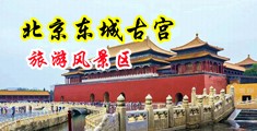日本骚妇操逼视频中国北京-东城古宫旅游风景区